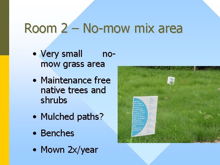 Room 2 – No-mow mix area • Very small nomow grass area • Maintenance