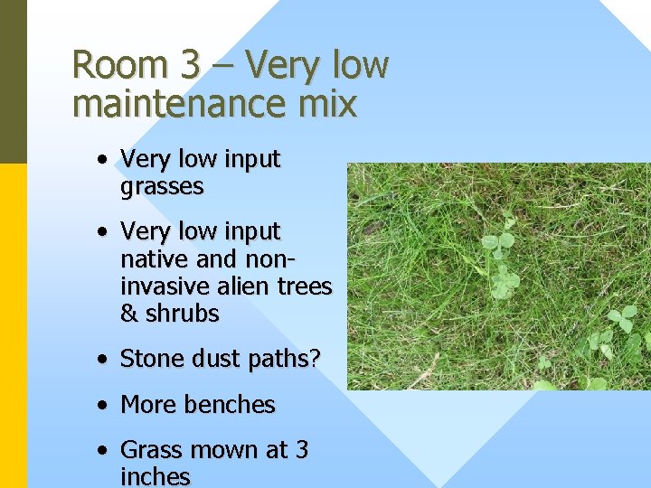 Room 3 – Very low maintenance mix • Very low input grasses • Very