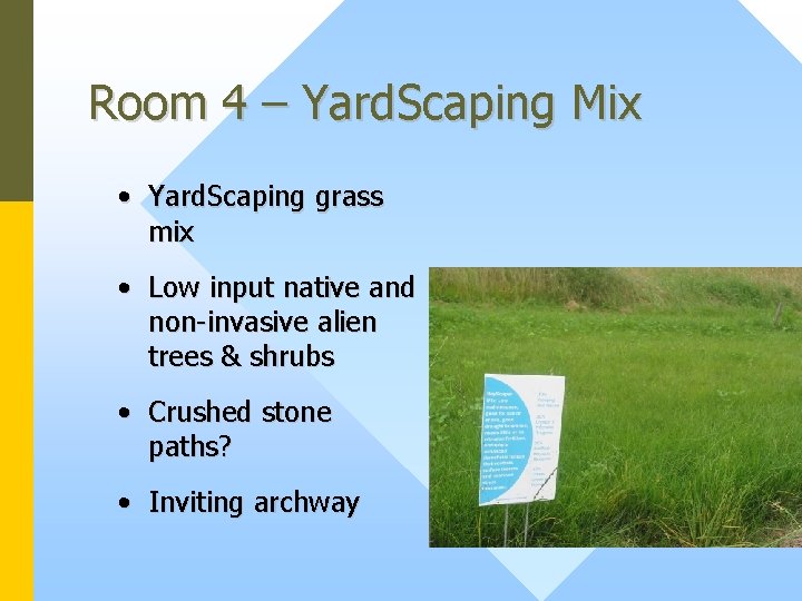 Room 4 – Yard. Scaping Mix • Yard. Scaping grass mix • Low input