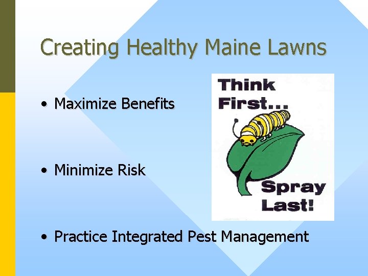 Creating Healthy Maine Lawns • Maximize Benefits • Minimize Risk • Practice Integrated Pest