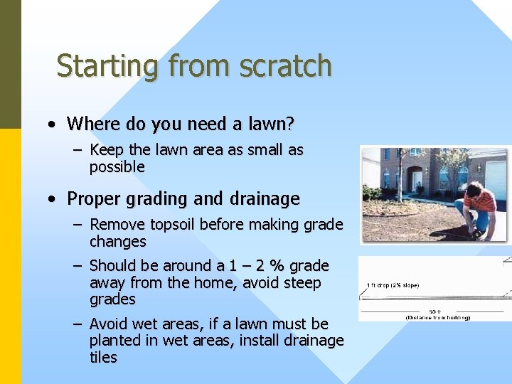 Starting from scratch • Where do you need a lawn? – Keep the lawn
