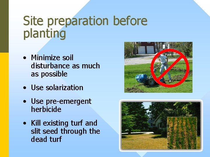 Site preparation before planting • Minimize soil disturbance as much as possible • Use