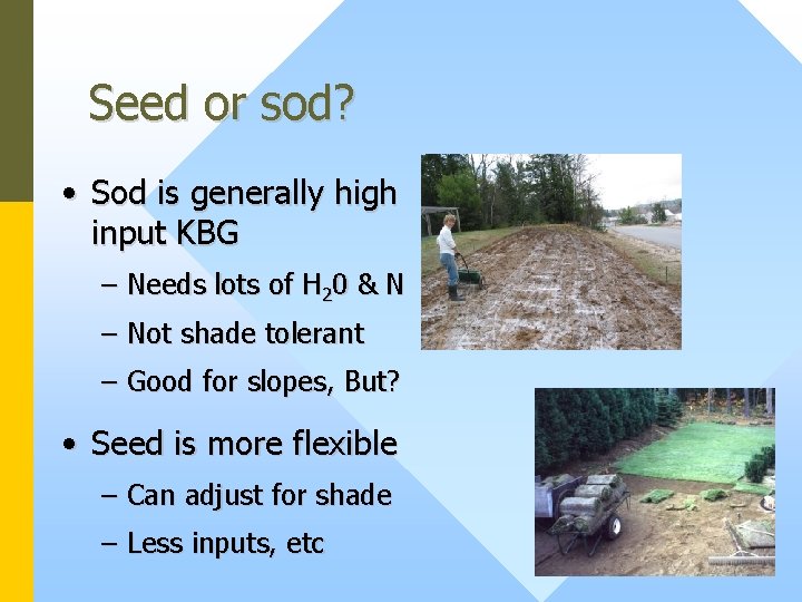 Seed or sod? • Sod is generally high input KBG – Needs lots of