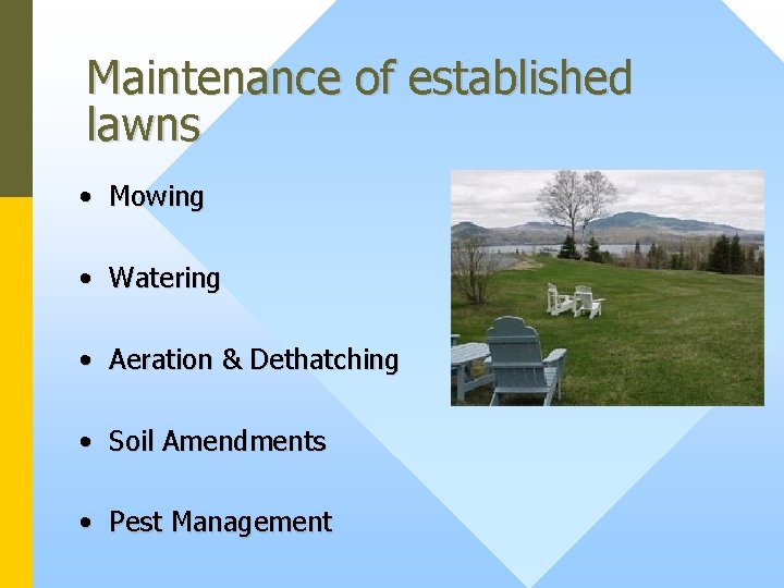 Maintenance of established lawns • Mowing • Watering • Aeration & Dethatching • Soil