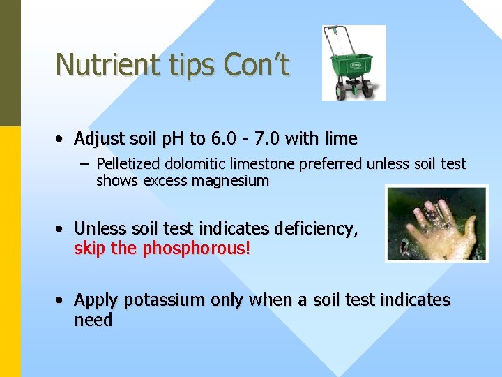 Nutrient tips Con’t • Adjust soil p. H to 6. 0 - 7. 0