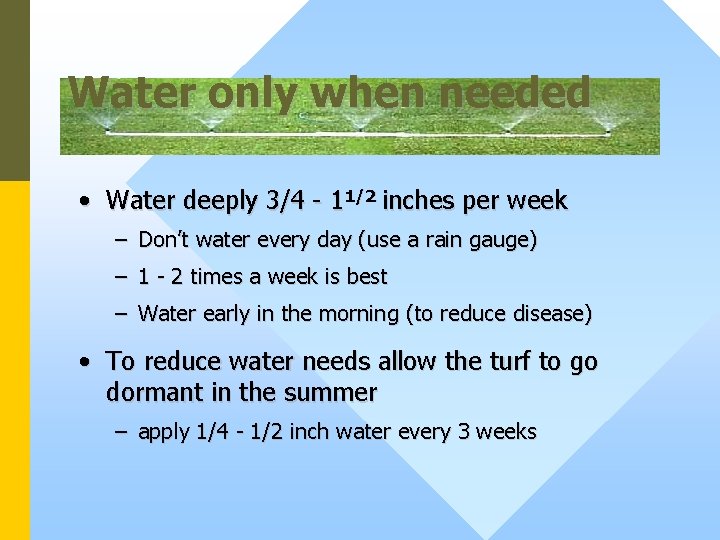 Water only when needed • Water deeply 3/4 - 11/2 inches per week –