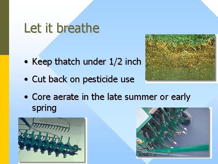 Let it breathe • Keep thatch under 1/2 inch • Cut back on pesticide