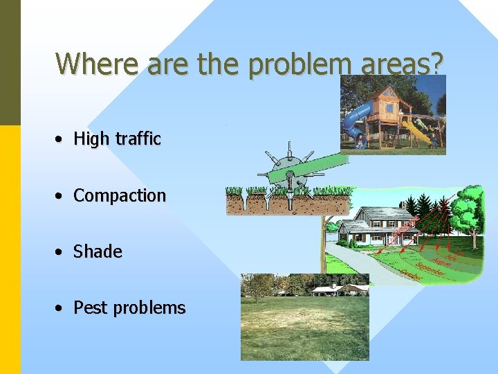 Where are the problem areas? • High traffic • Compaction • Shade • Pest