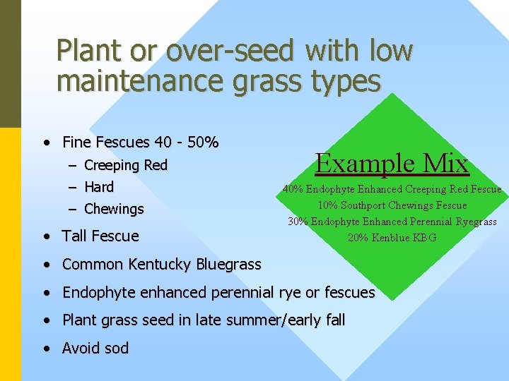 Plant or over-seed with low maintenance grass types • Fine Fescues 40 - 50%