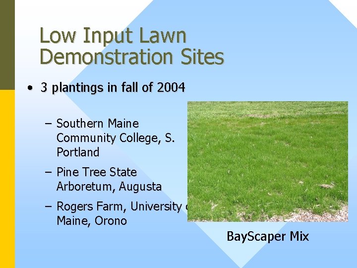 Low Input Lawn Demonstration Sites • 3 plantings in fall of 2004 – Southern