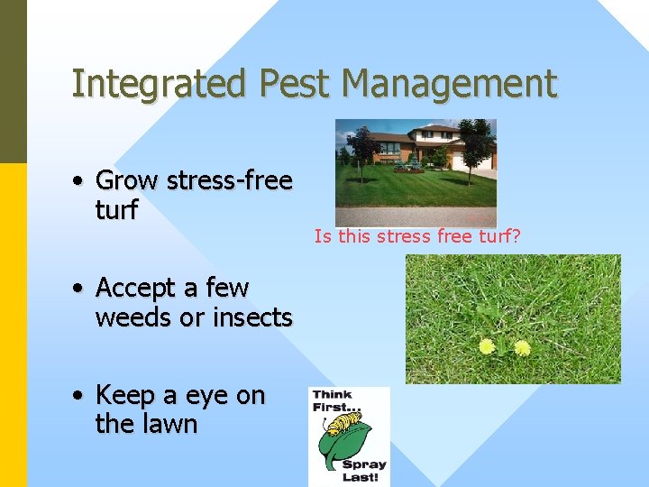 Integrated Pest Management • Grow stress-free turf • Accept a few weeds or insects