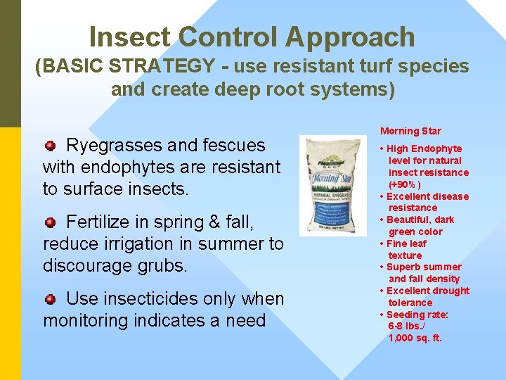 Insect Control Approach (BASIC STRATEGY - use resistant turf species and create deep root