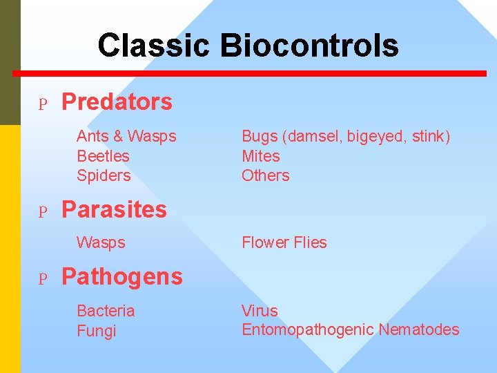 Classic Biocontrols P Predators Ants & Wasps Beetles Spiders Bugs (damsel, bigeyed, stink) Mites