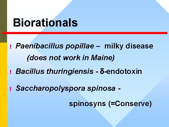 Biorationals ! Paenibacillus popillae – milky disease (does not work in Maine) ! Bacillus