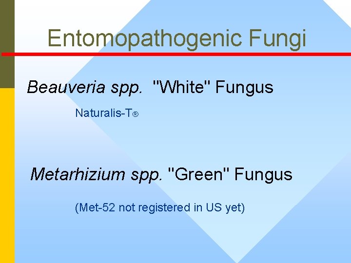 Entomopathogenic Fungi Beauveria spp. "White" Fungus Naturalis-T® Metarhizium spp. "Green" Fungus (Met-52 not registered