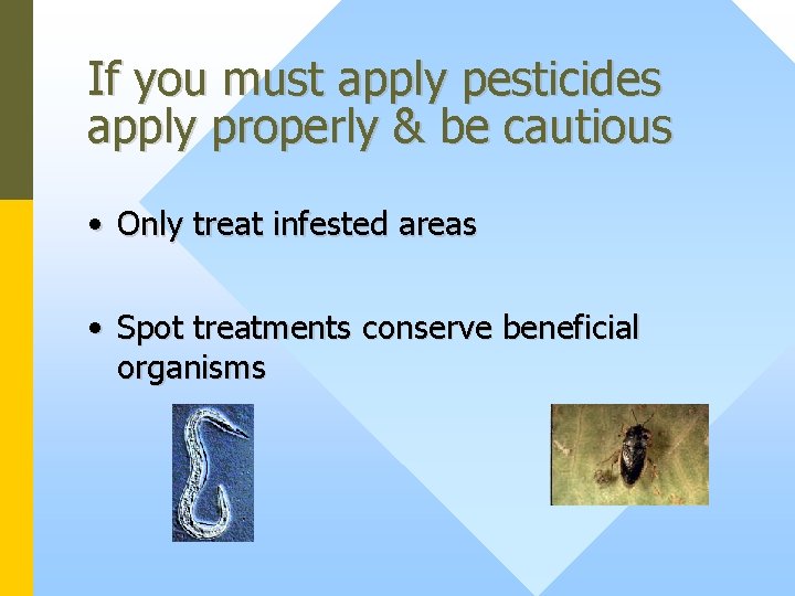 If you must apply pesticides apply properly & be cautious • Only treat infested