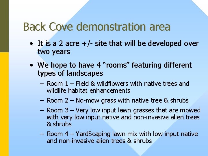 Back Cove demonstration area • It is a 2 acre +/- site that will