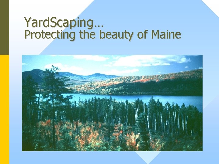 Yard. Scaping… Protecting the beauty of Maine 