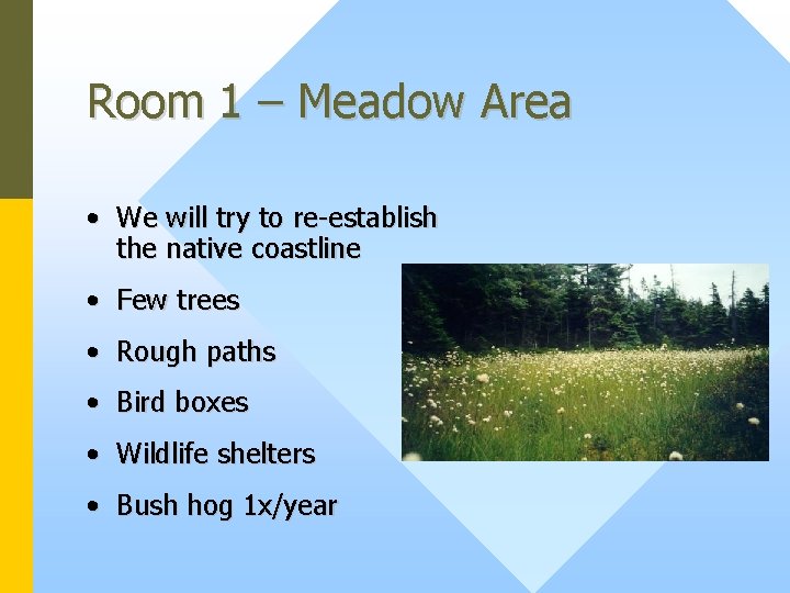 Room 1 – Meadow Area • We will try to re-establish the native coastline
