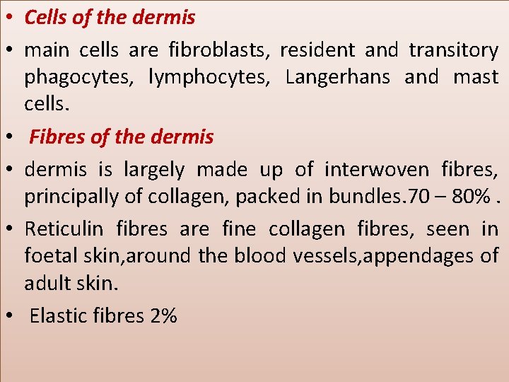  • Cells of the dermis • main cells are fibroblasts, resident and transitory