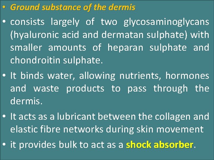  • Ground substance of the dermis • consists largely of two glycosaminoglycans (hyaluronic