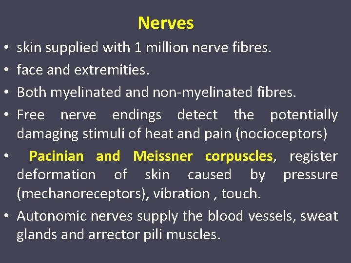 Nerves skin supplied with 1 million nerve fibres. face and extremities. Both myelinated and