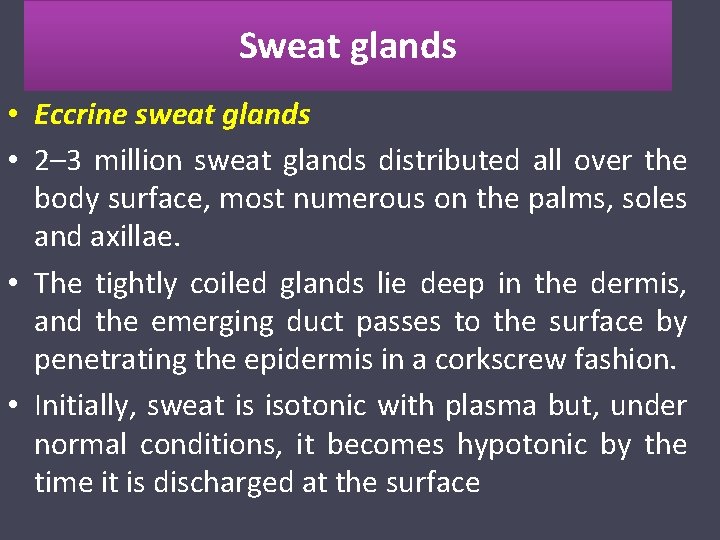 Sweat glands • Eccrine sweat glands • 2– 3 million sweat glands distributed all