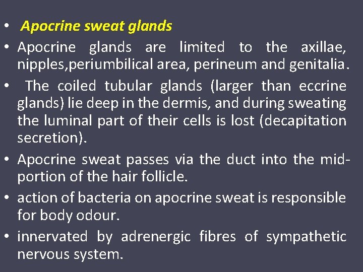  • Apocrine sweat glands • Apocrine glands are limited to the axillae, nipples,