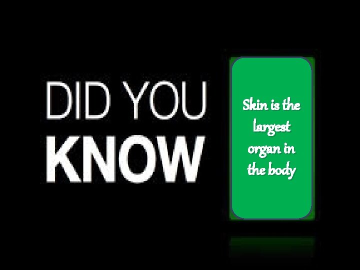 Skin is the largest organ in the body 