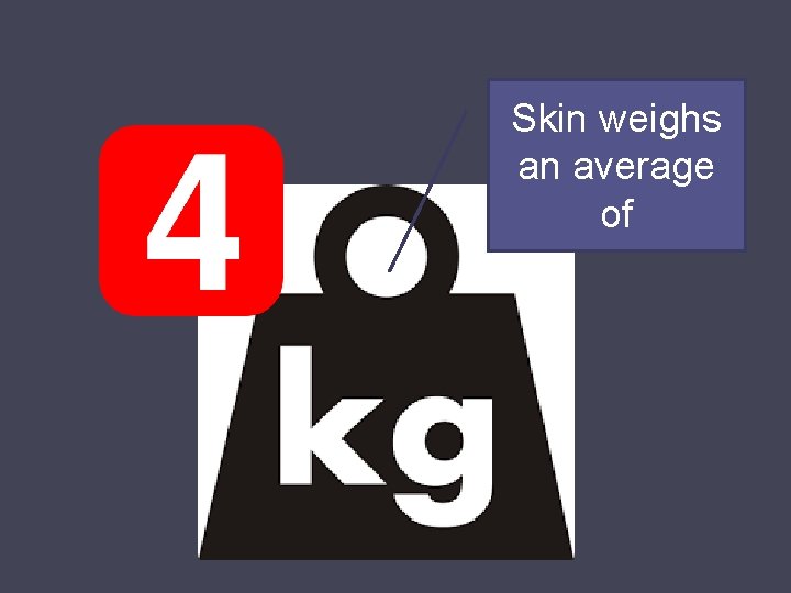 Skin weighs an average of 