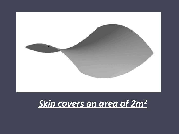 Skin covers an area of 2 m 2 