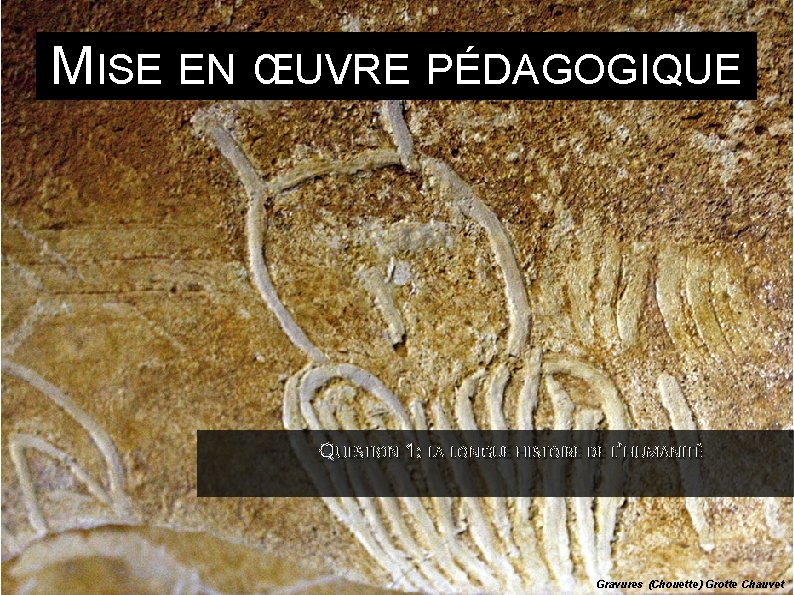 MISE EN ŒUVRE PÉDAGOGIQUE QUESTION 1: LA LONGUE HISTOIRE DE L’HUMANITÉ Gravures (Chouette) Grotte