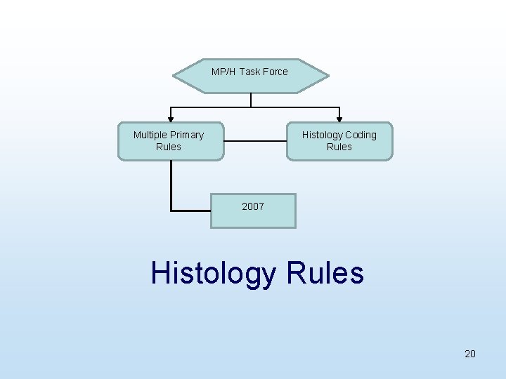 MP/H Task Force Multiple Primary Rules Histology Coding Rules 2007 Histology Rules 20 