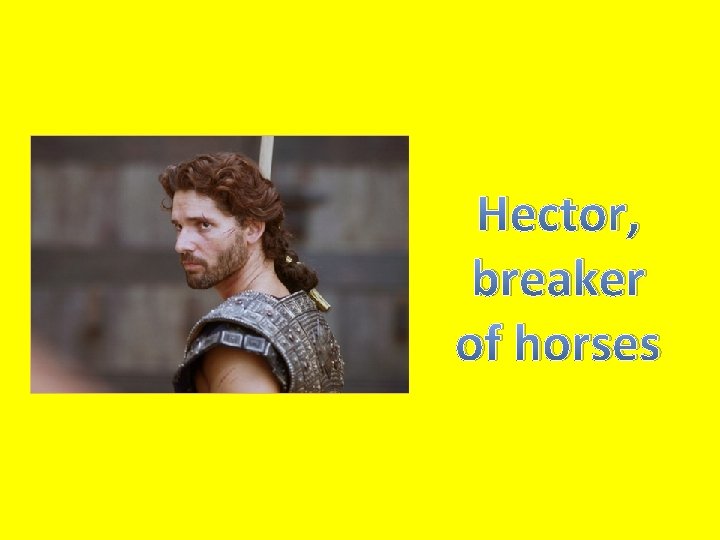 Hector, breaker of horses 