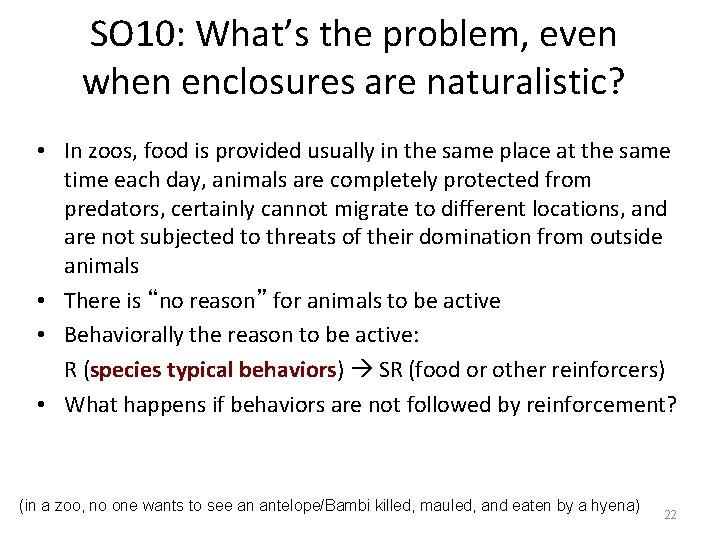 SO 10: What’s the problem, even when enclosures are naturalistic? • In zoos, food