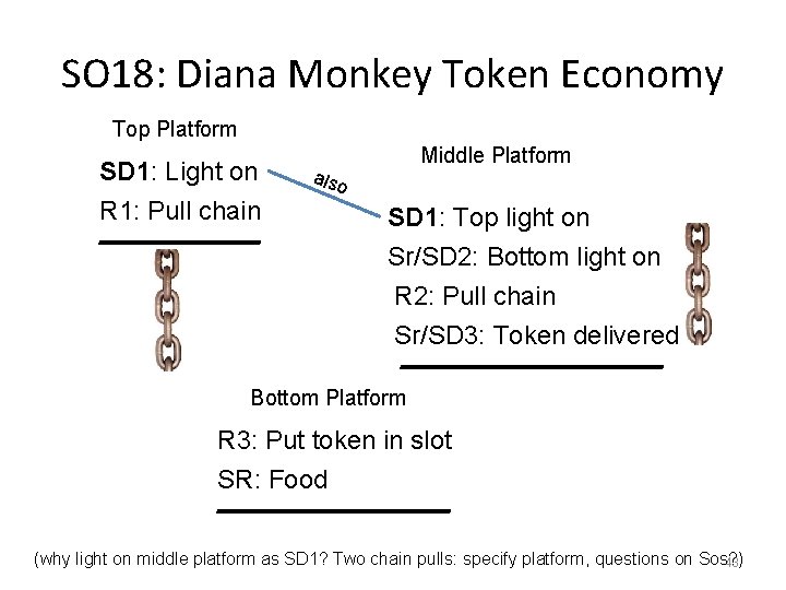 SO 18: Diana Monkey Token Economy Top Platform SD 1: Light on R 1: