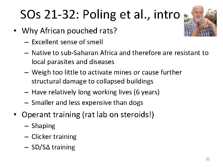 SOs 21 -32: Poling et al. , intro • Why African pouched rats? –