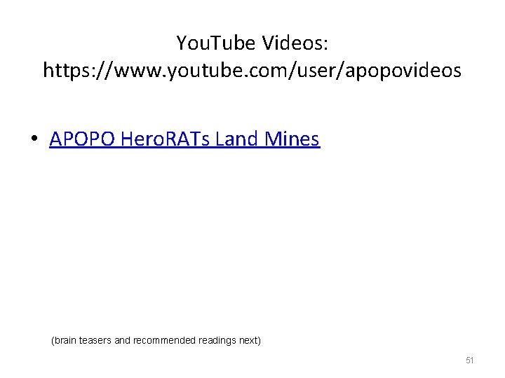 You. Tube Videos: https: //www. youtube. com/user/apopovideos • APOPO Hero. RATs Land Mines (brain