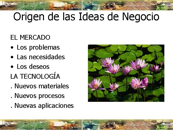 Origen de las Ideas de Negocio EL MERCADO • Los problemas • Las necesidades