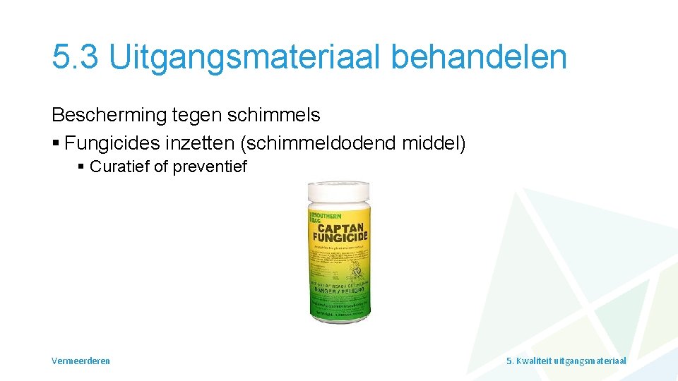 5. 3 Uitgangsmateriaal behandelen Bescherming tegen schimmels § Fungicides inzetten (schimmeldodend middel) § Curatief