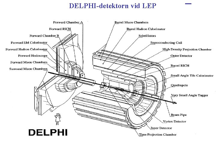 DELPHI-detektorn vid LEP 