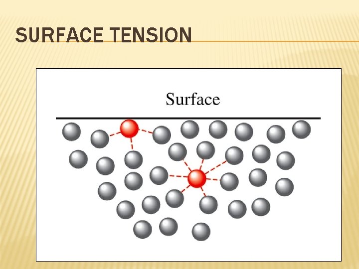 SURFACE TENSION 