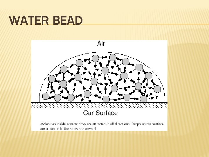 WATER BEAD 