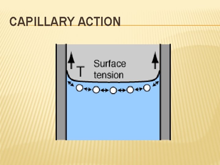 CAPILLARY ACTION 