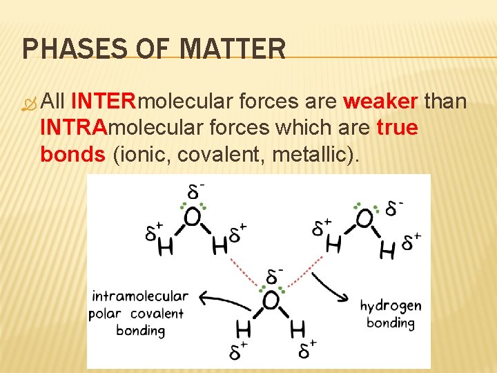 PHASES OF MATTER All INTERmolecular forces are weaker than INTRAmolecular forces which are true