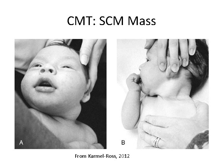 CMT: SCM Mass From Karmel-Ross, 2012 