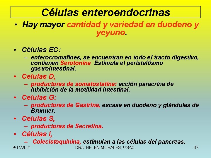 Células enteroendocrinas • Hay mayor cantidad y variedad en duodeno y yeyuno. • Células