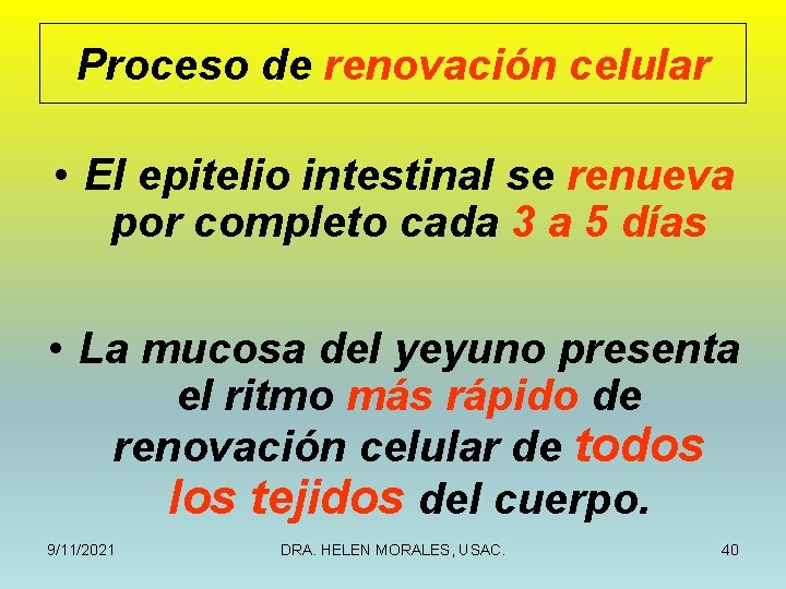 Proceso de renovación celular • El epitelio intestinal se renueva por completo cada 3