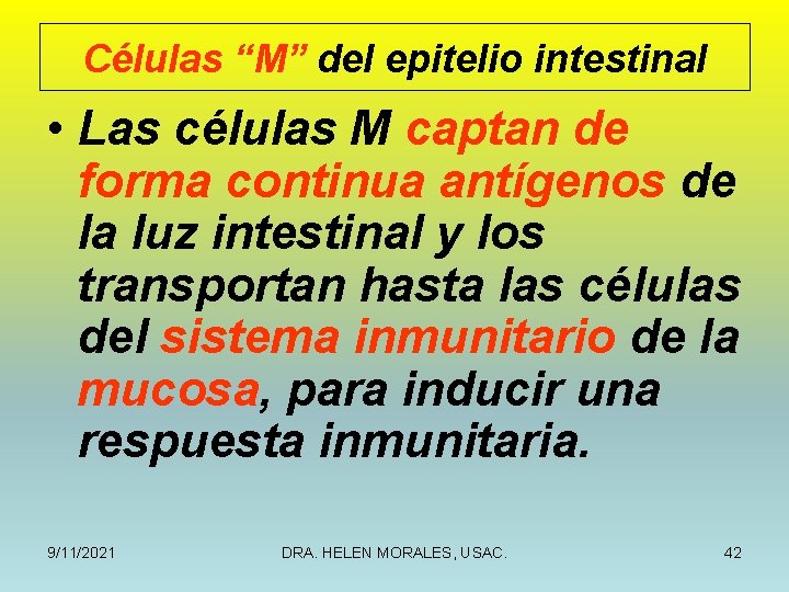 Células “M” del epitelio intestinal • Las células M captan de forma continua antígenos