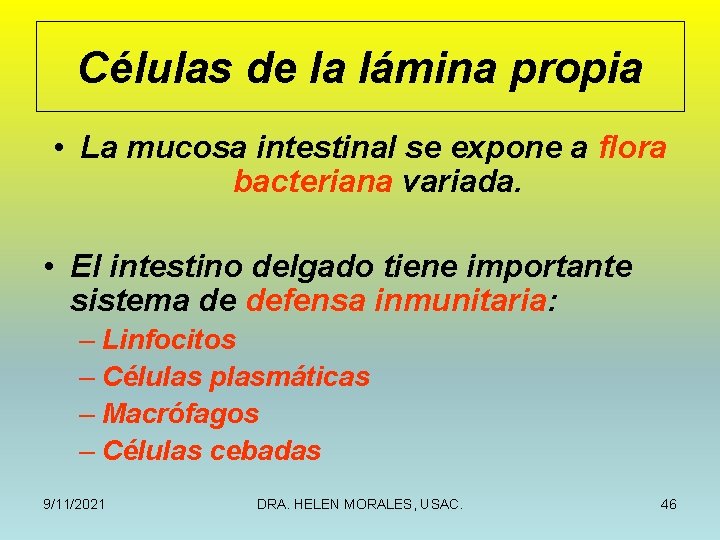Células de la lámina propia • La mucosa intestinal se expone a flora bacteriana